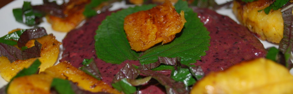 Blueberries, Plantains and A Serrano Pepper…Yep I did that!!